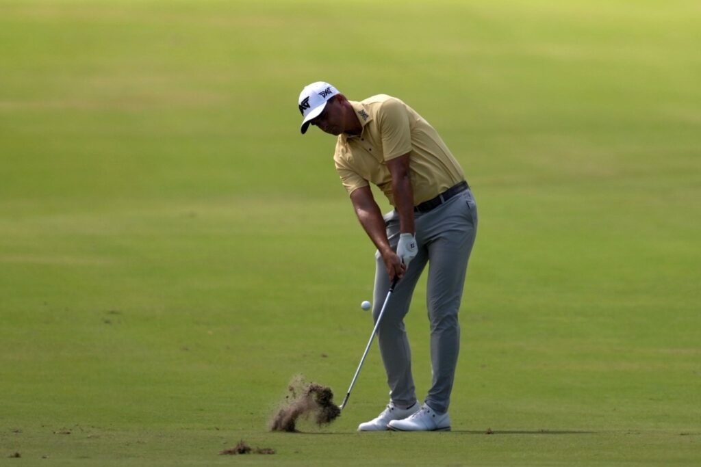 WhatsApp Image 2025-11-03 at 13.17.16